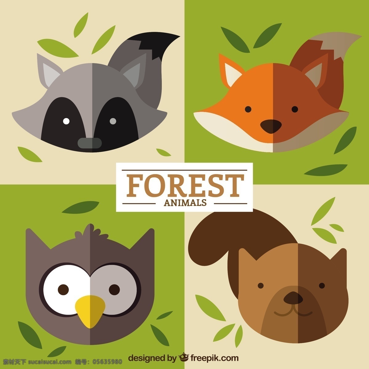 美丽 森林 动物 头像 自然 猫头鹰 平坦 可爱 树叶 狐狸 有趣 可爱的松鼠 可爱的动物 野生的 不错 野生动物 浣熊 黄色