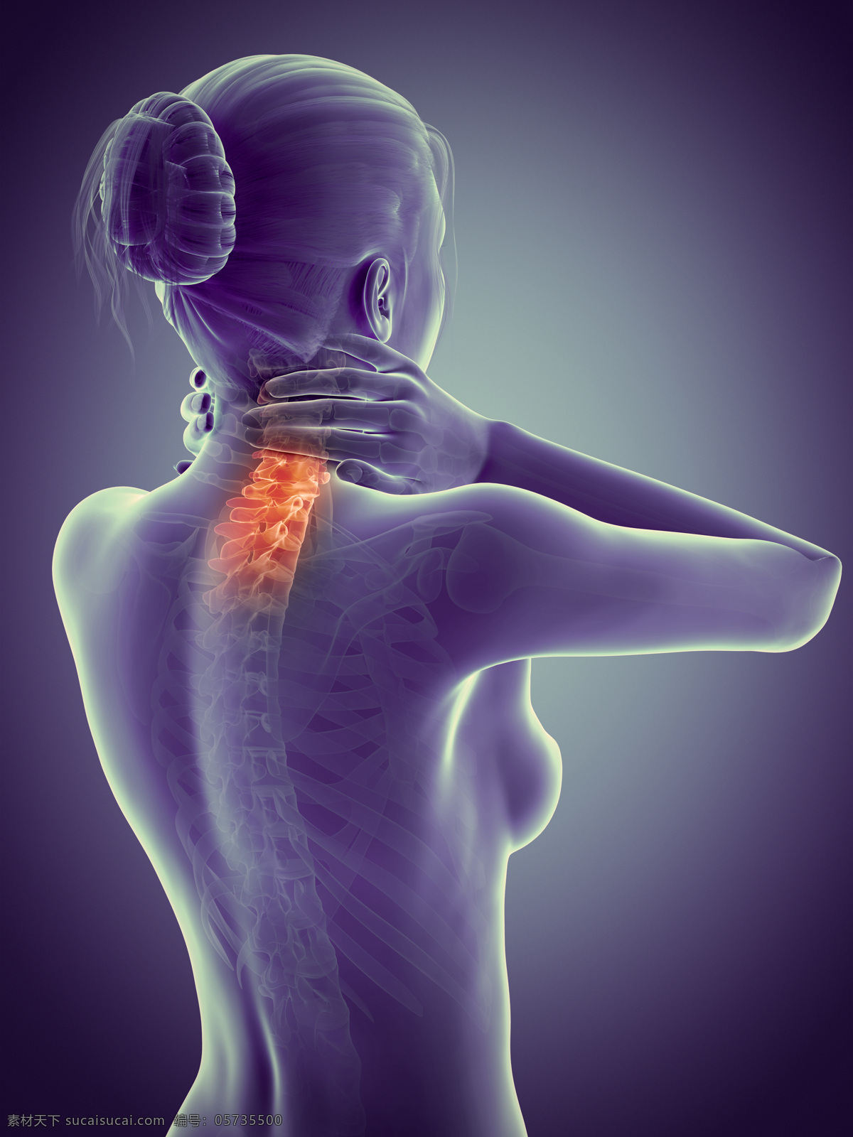 颈椎病 脖子痛 颈椎痛 病痛 疾病 人体结构 人体骨骼 人体肌肉 x光 人体标本 人体构造 医疗护理 现代科技