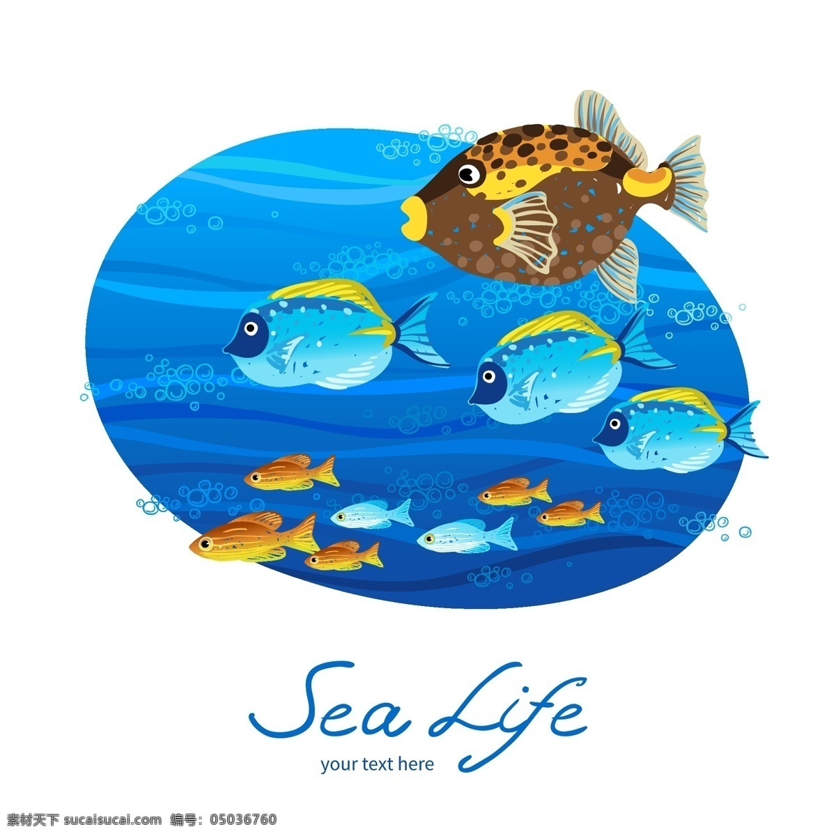 海洋背景 水族馆 海洋生物 海报 矢量 卡片 插图 深蓝 海洋 背景 蓝色背景 蓝色 海洋馆 热带鱼 蓝色素材 素材背景 背景蓝色 素材蓝色 海洋馆背景 生物世界 鱼类