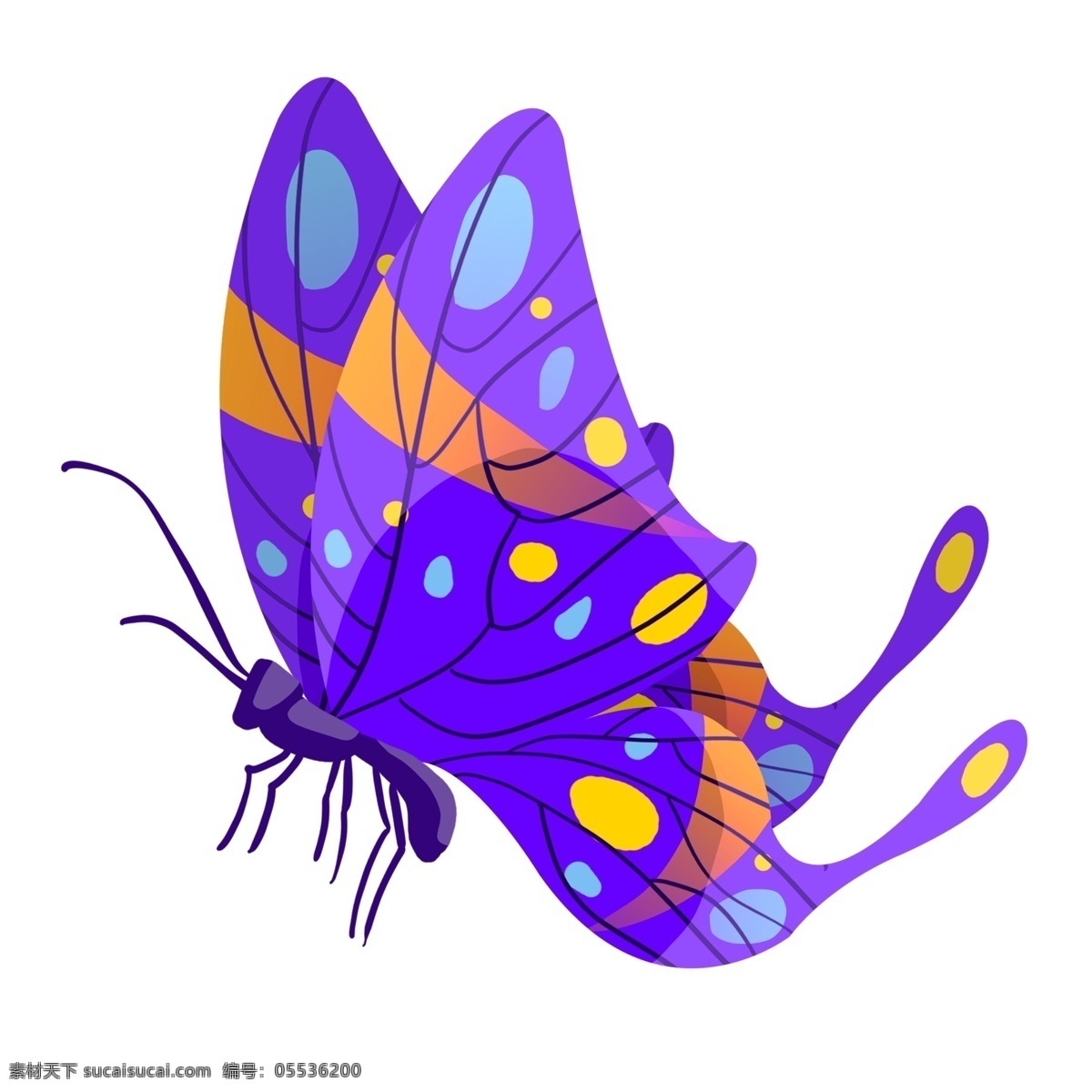 紫色 动物 蝴蝶 插画 紫色的蝴蝶 漂亮的蝴蝶 卡通插画 蝴蝶插画 动物插画 昆虫插画 益虫插画