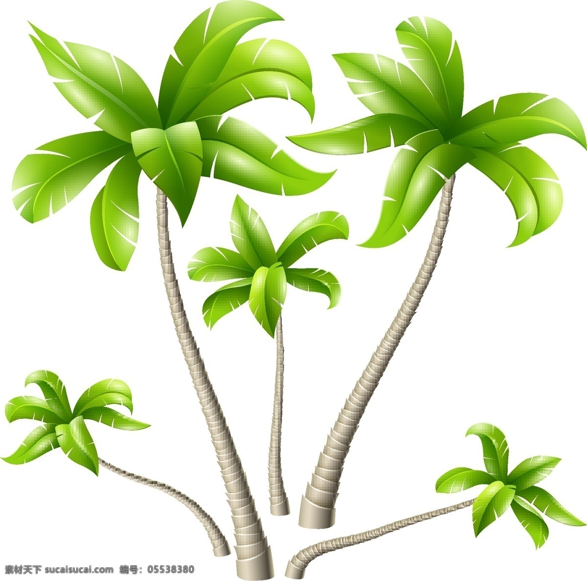 夏日 度假 沙滩 椰树 矢量 绿色 植物 树枝 卡通 椰子树 沙滩树木 小清新 填充 插画 背景 海报 广告 包装 印刷 夏天