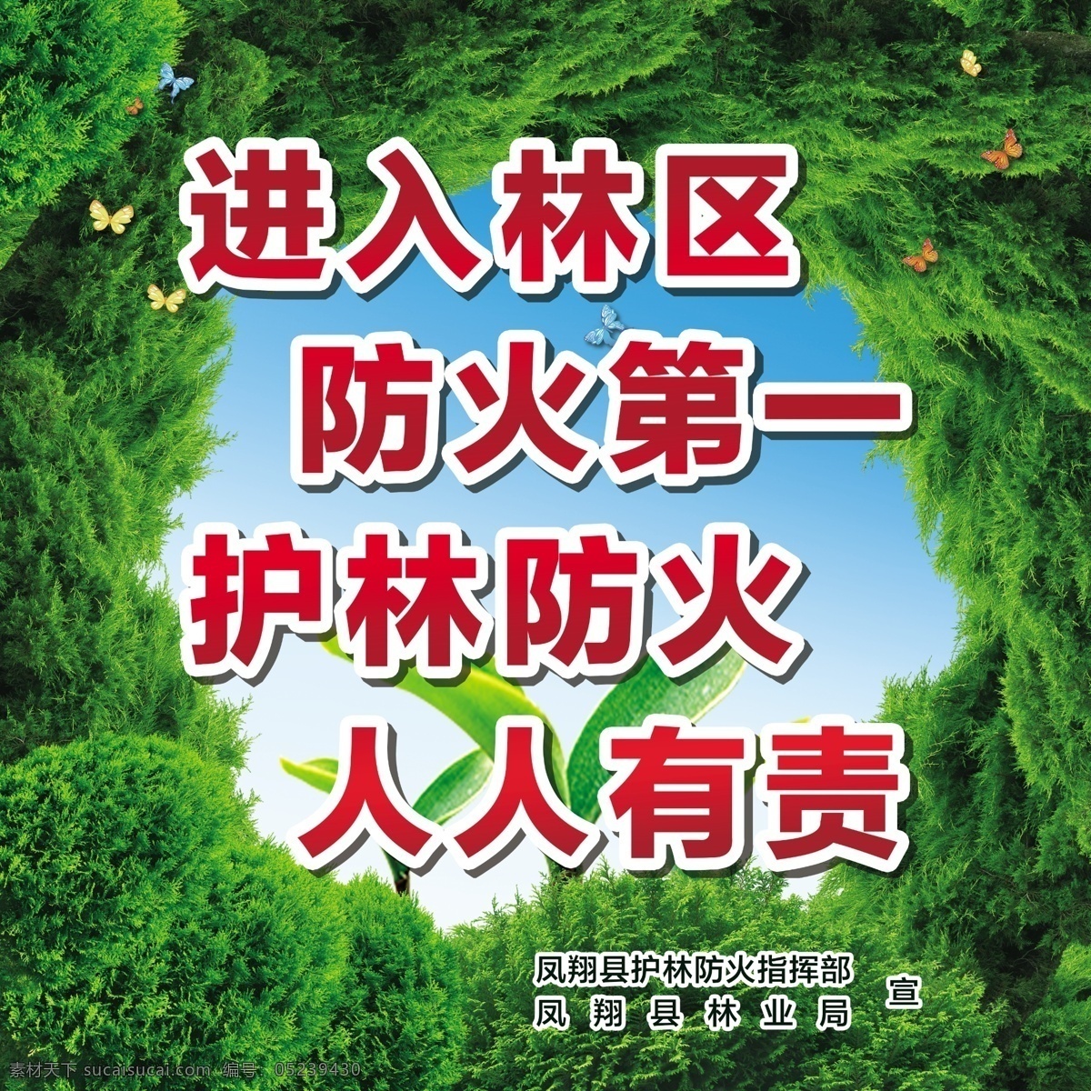 森林防火 背景 林区 护林 绿色 海报