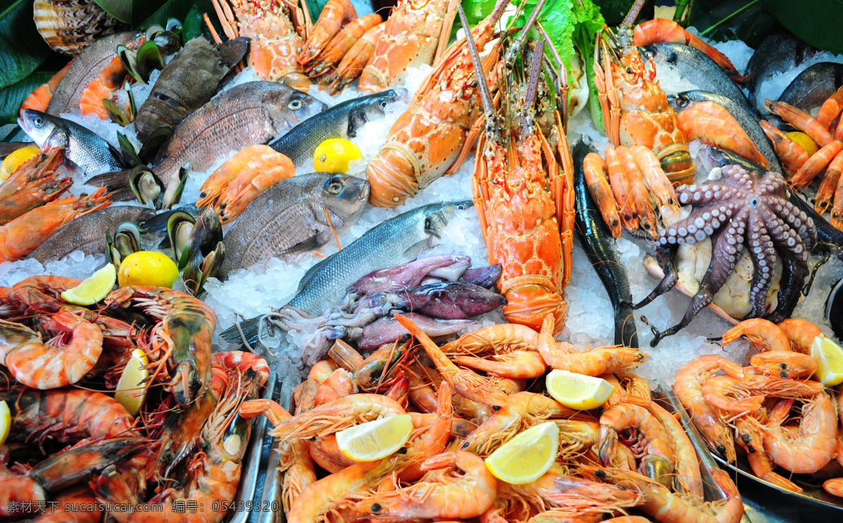 虾 鲜虾 海鲜 大虾 沼虾 明虾 鱿鱼 海味 白河虾 大钳虾 餐饮美食 酒店自助餐 海鲜大餐 自助餐 海鲜餐 传统美食
