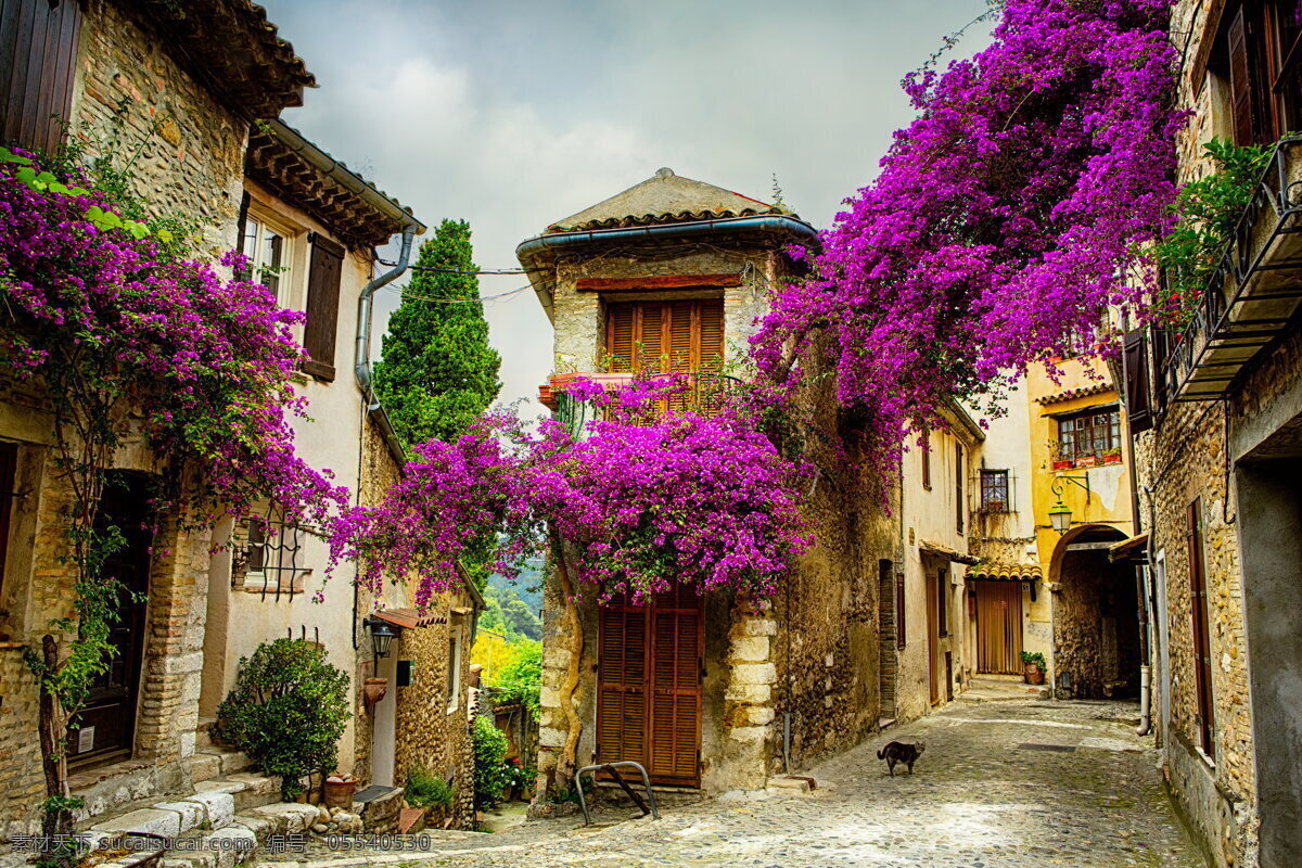 法国 普罗旺斯 小镇 高清 法国风景 紫色 花卉