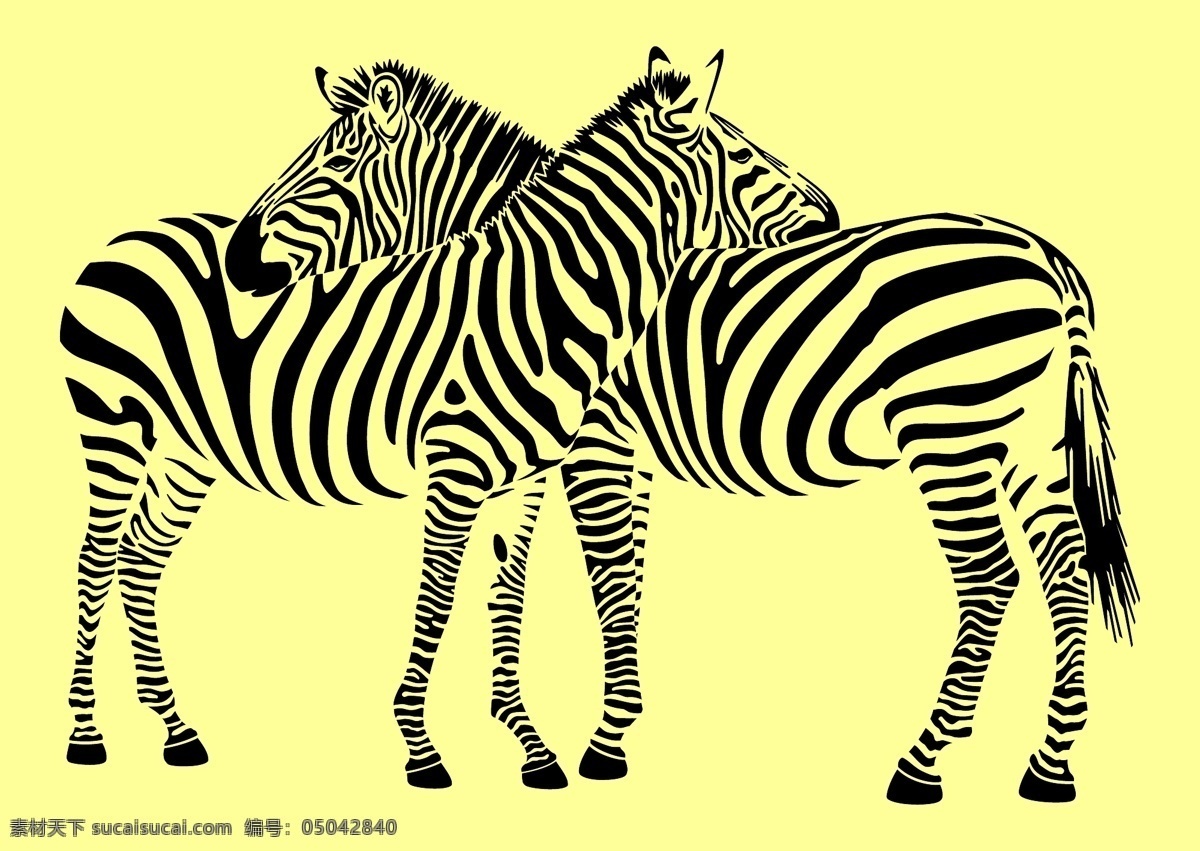 斑马 动物 斑马线 野生动物 哺乳动物 黑白条纹 食草动物 非洲野生动物 斑马纹 平面素材