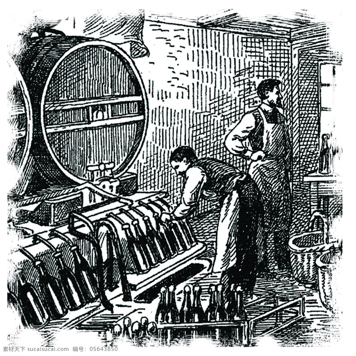 西方 酿酒 过程 图示 西方线描图 西方素描图 酿酒过程图 浇注成品酒 装瓶 葡萄酒酿造 绘画书法 文化艺术