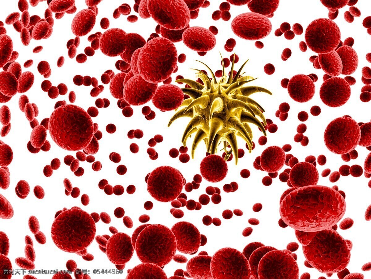 病毒 细菌 微生物 血细胞 入侵 吞噬 血小板 细胞 禽流感 h7n9 非典 传染病 医学 医疗 3d 医疗护理 现代科技