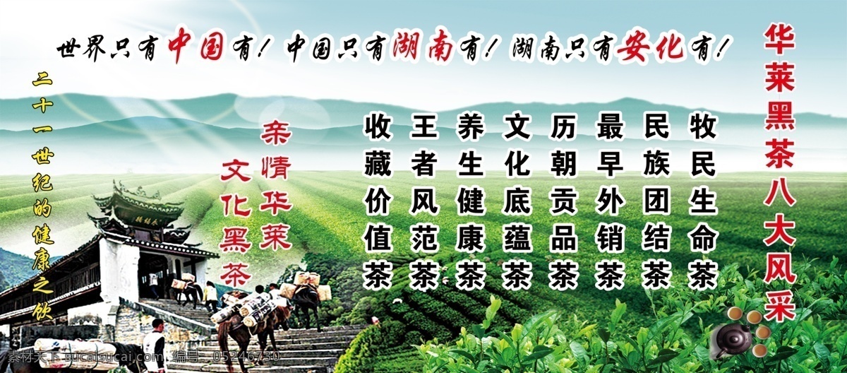 安化黑茶 湖南华莱 茶 黑茶 绿茶 展板 分层