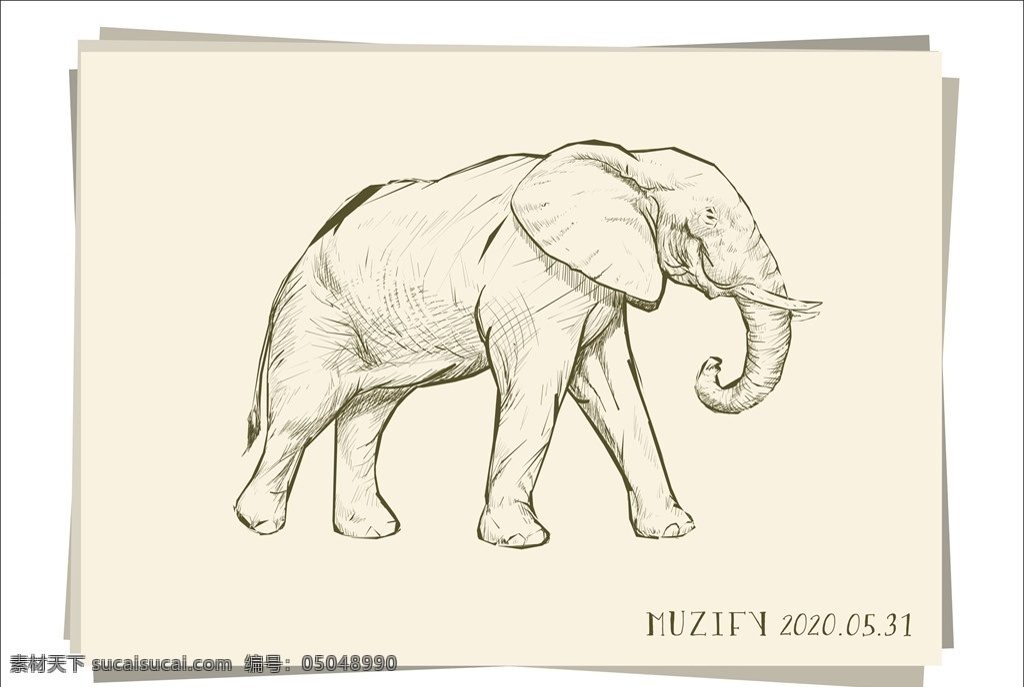 大象 素描画 非洲象 野生动物 手绘稿 钢笔画 写生 随笔 花鸟鱼虫宠 生物世界