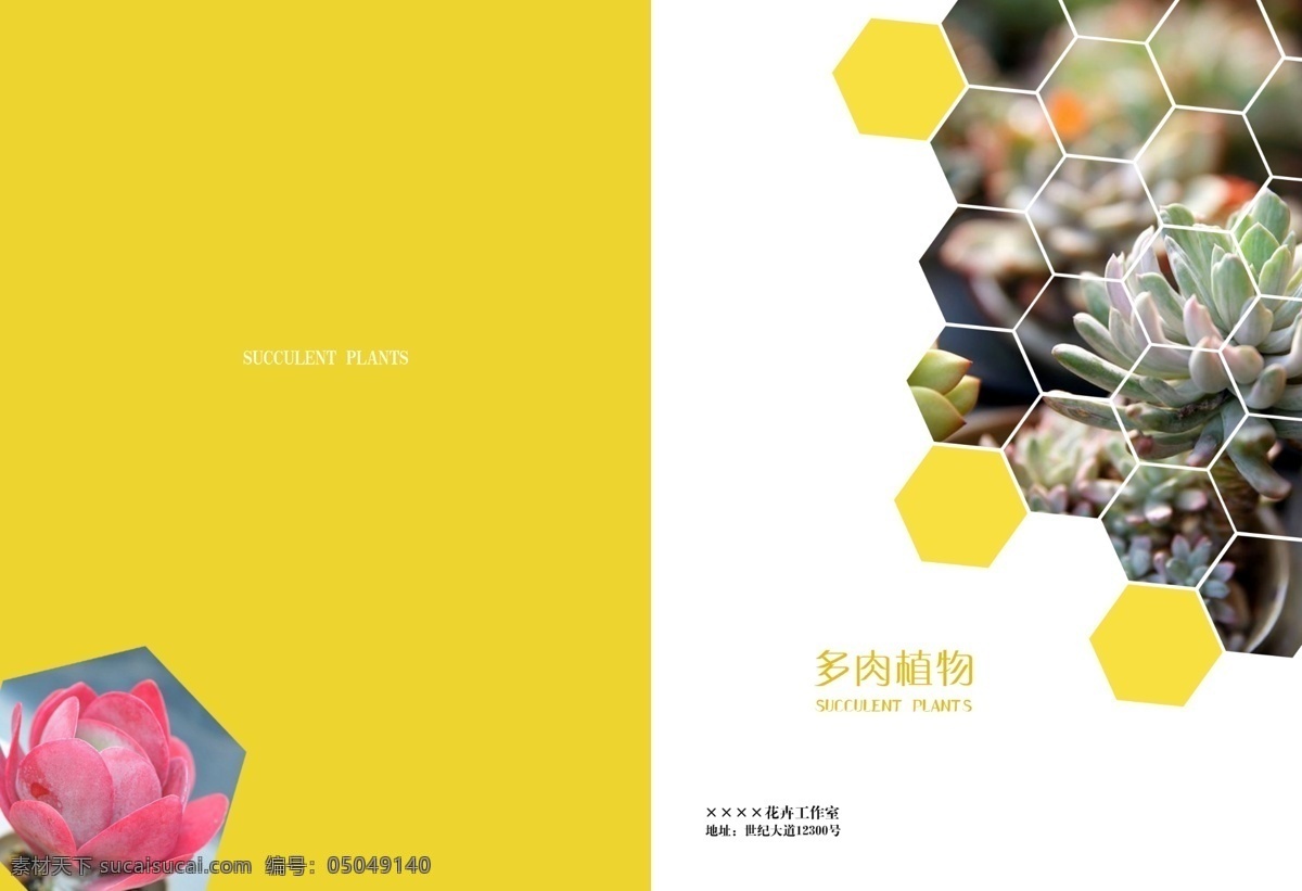 蜂巢 封面设计 模板 封面 多肉植物 蜂巢素材 设计素材 画册封面 书籍封面