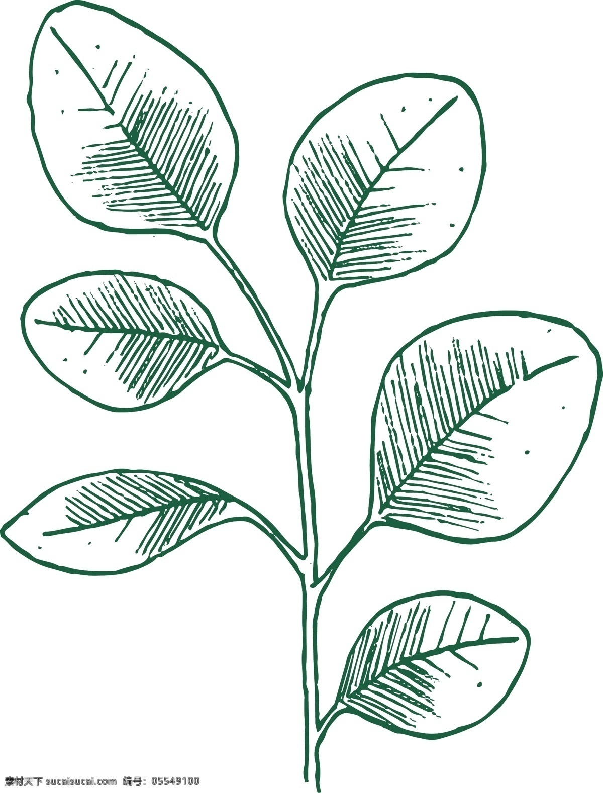 绿色植物线描 自然 植物 线描 环境 绿色 自然景观 自然风光
