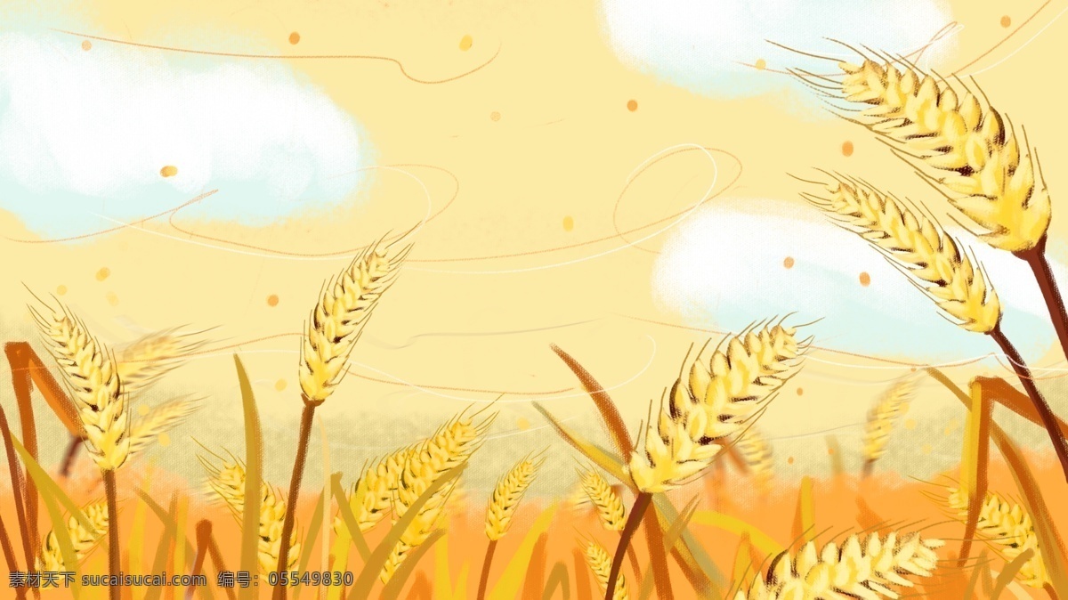 小满 节气 麦田 背景 清新 二十四节气 麦穗插画背景 背景素材 植物背景 psd背景