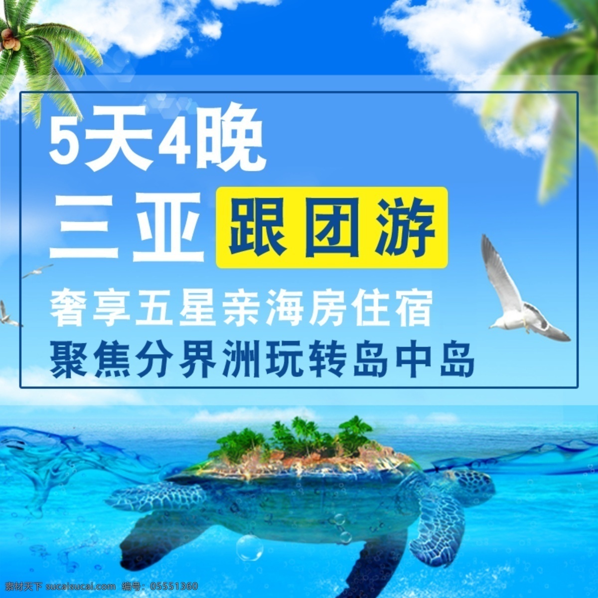 旅游 原创 直通车 海岛素材 三亚旅游 椰子树 海龟 海鸥