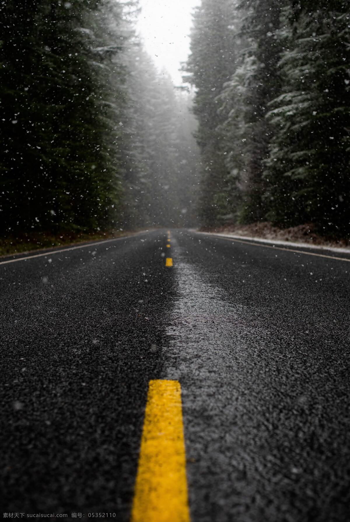 公路 冬天 森林 下雪 路程 旅游摄影 国外旅游