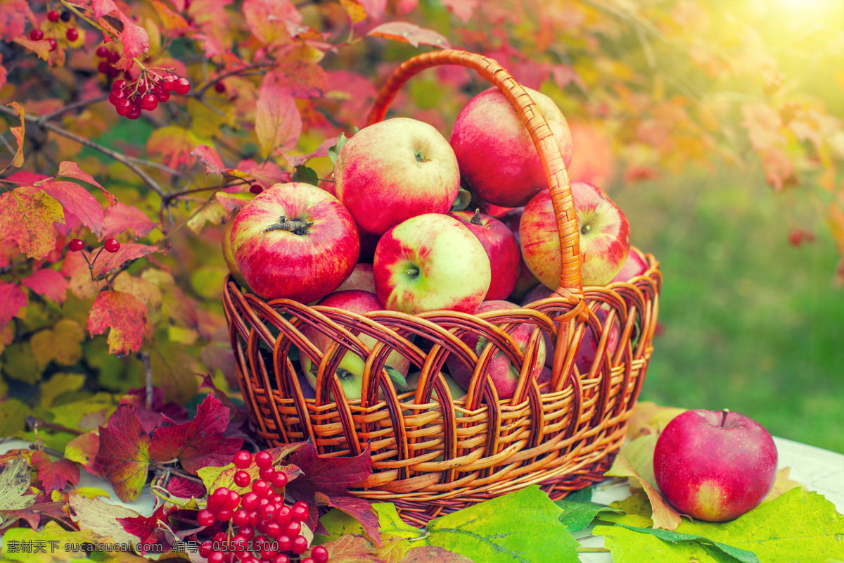 秋天 红色 果子 红苹果 秋天叶子 苹果 新鲜水果 美味水果 有机水果 水果蔬菜 水果摄影 苹果图片 餐饮美食