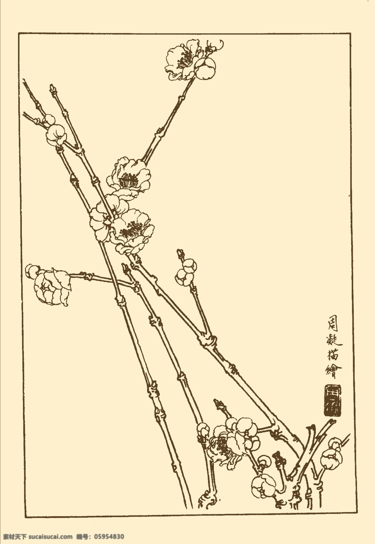 梅花 白描 花卉 花草 植物 国画 中国画 线画 线稿 花卉白描 分层 源文件