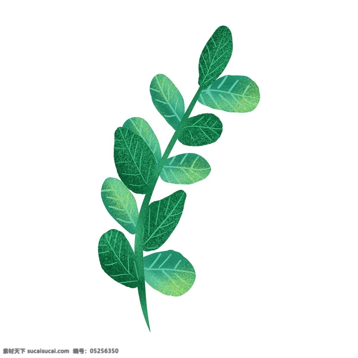 春季 绿叶 透明 装饰图案 免扣素材 透明素材 绿色 植物 叶子