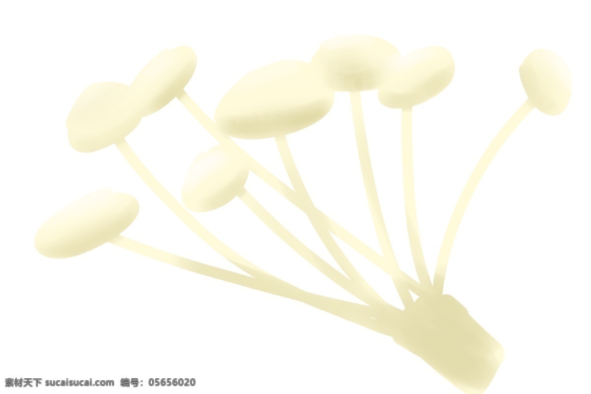 白色 食 材 蘑菇 插画 白色的蘑菇 卡通插画 食材插画 蔬菜插画 食品插画 食物插画 新鲜的蘑菇