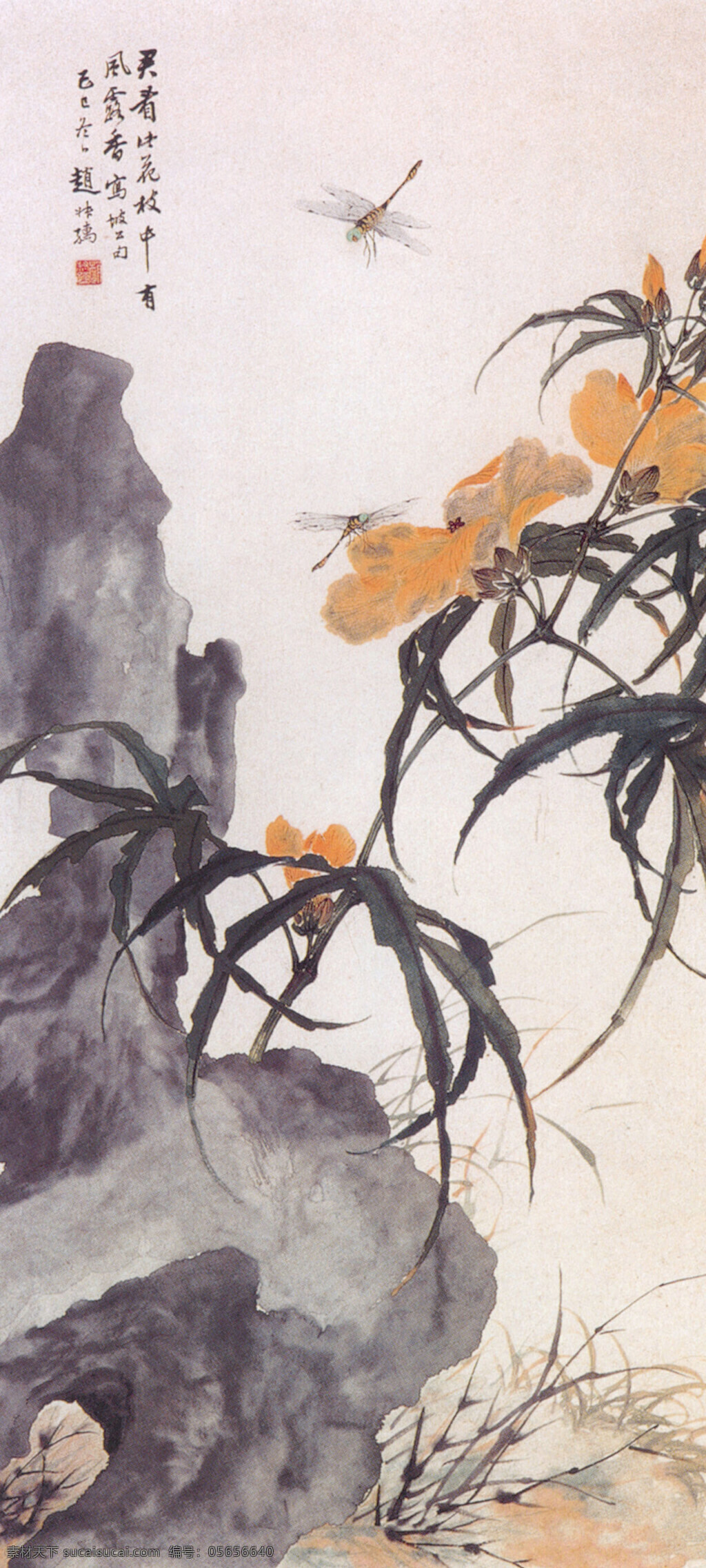 秋葵蜻蜓图 绘画 水墨 蜻蜓 秋葵 假山 中国国画篇 文化艺术 绘画书法