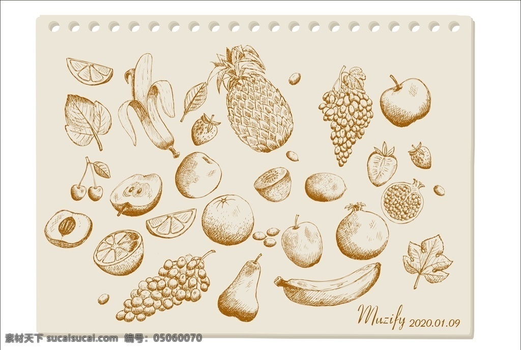 水果素描画 水果素描 写生 钢笔画 速写 水果手绘稿 美食素材 文化艺术 绘画书法