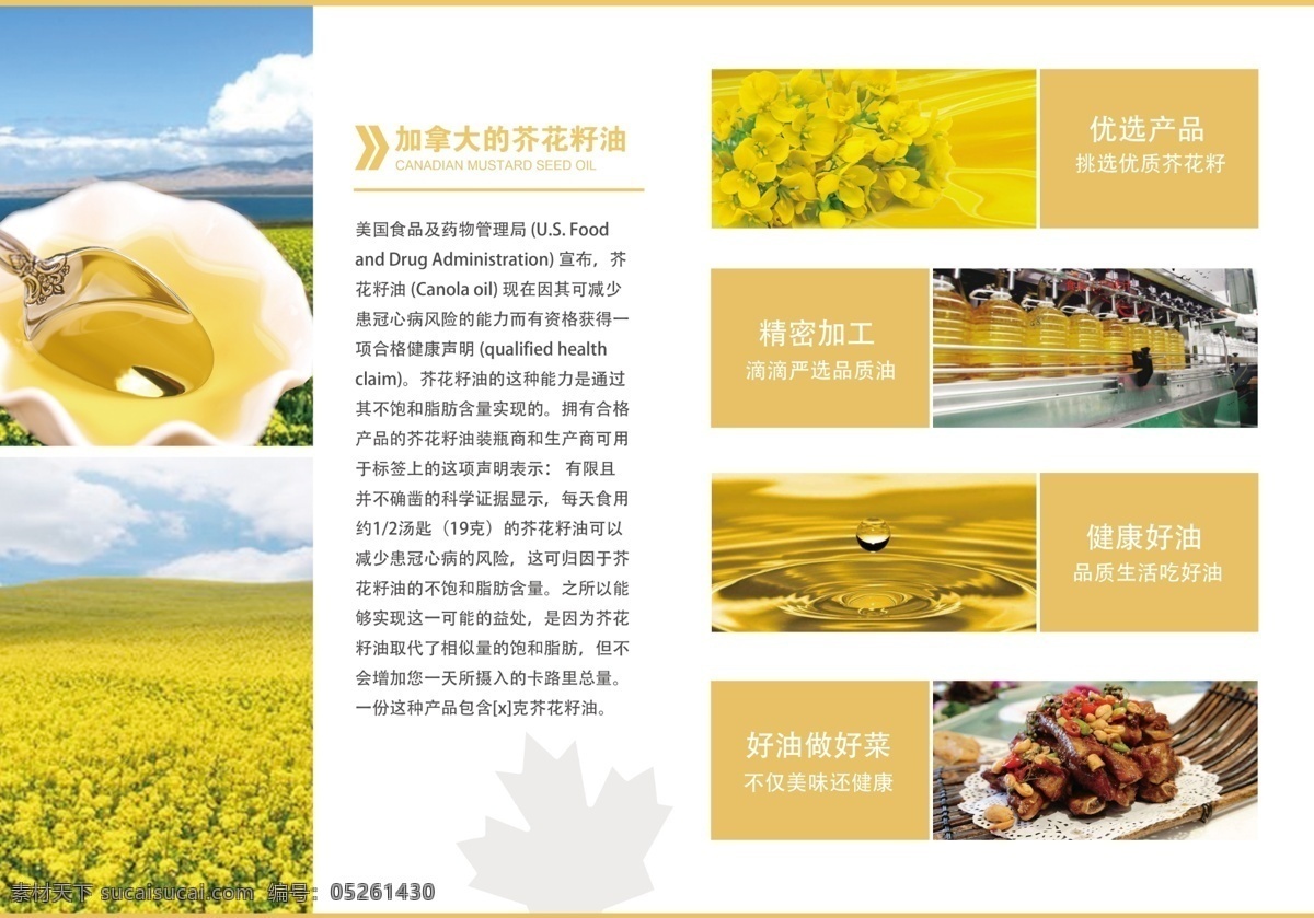 进口豆油 豆油宣传册 豆油海报 大豆油 油菜籽 b5宣传单 分层