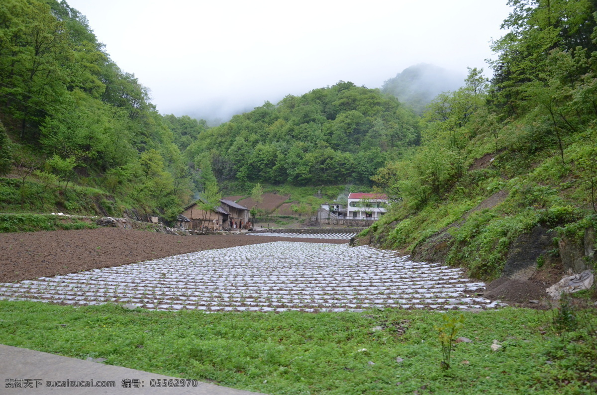 田园 田园风光 农村 农村风光 农庄 自然景观