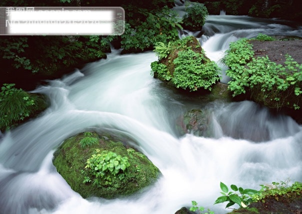 溪流免费下载 山水风景 摄影图 自然景观 溪流 青苔 石头 草木 森林 家居装饰素材 山水风景画