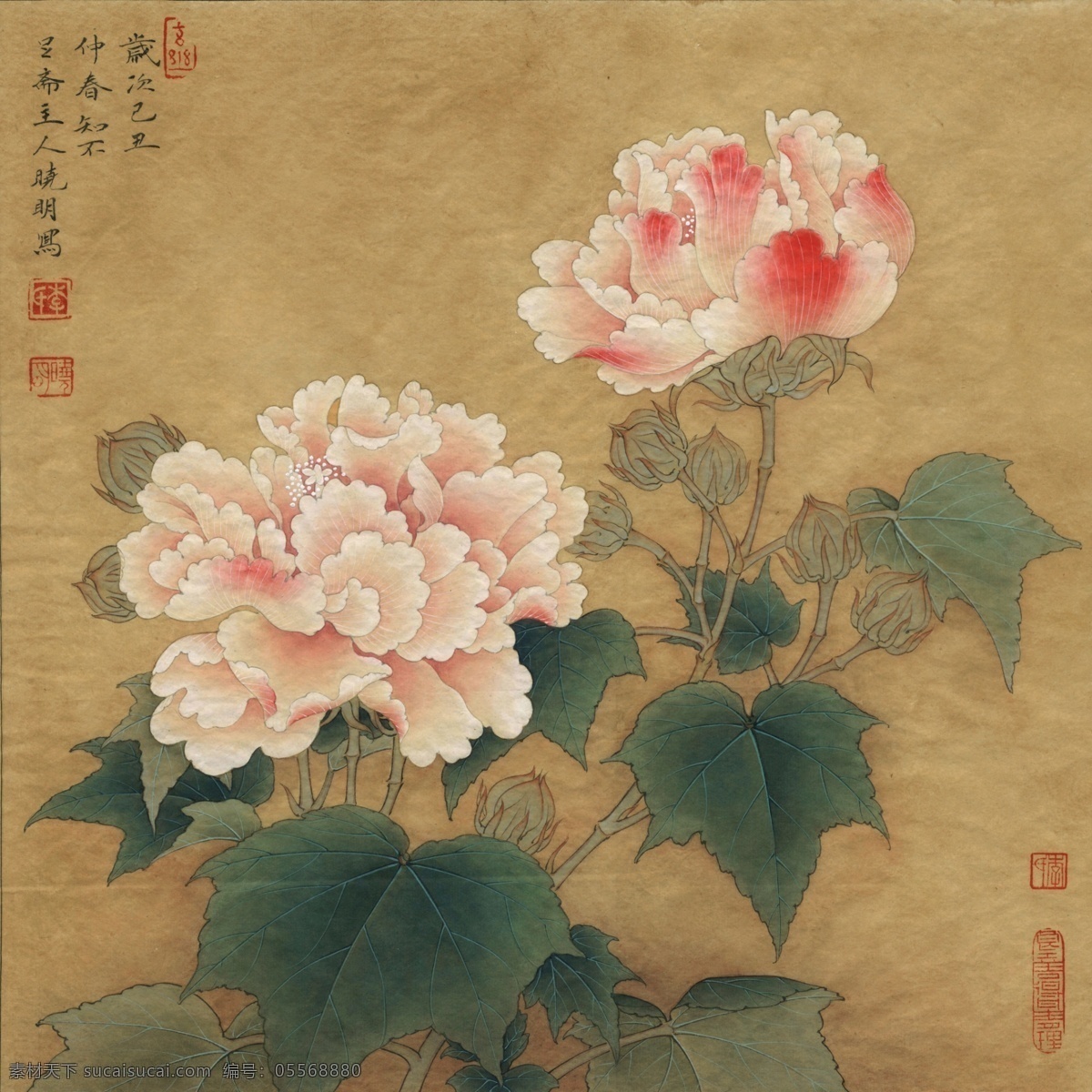 宋 红芙蓉 图 国画 高清 棕色