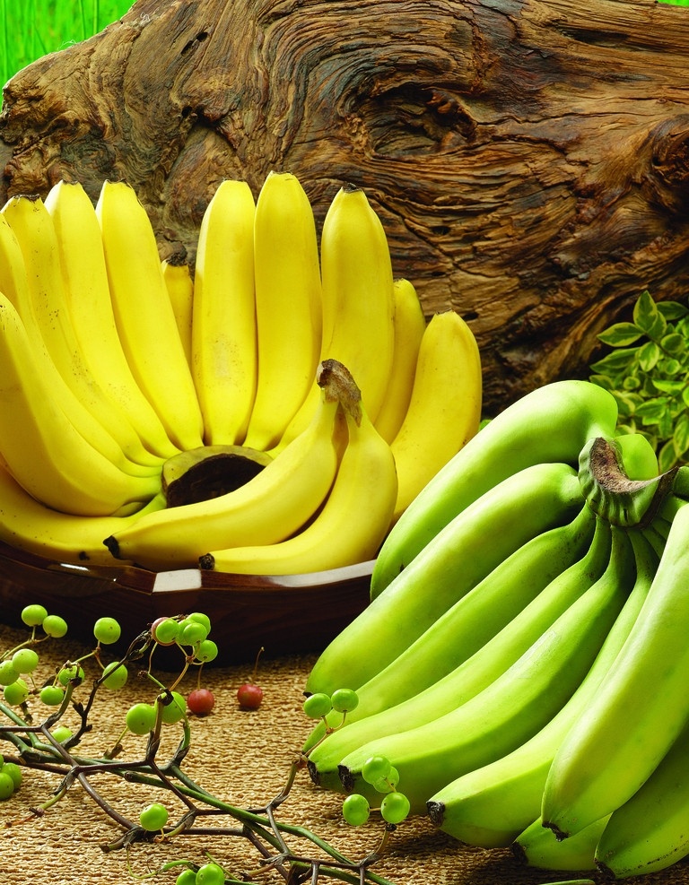香蕉 水果 香蕉皮 整把香蕉 绿色 成熟 黄色 果肉 生物世界
