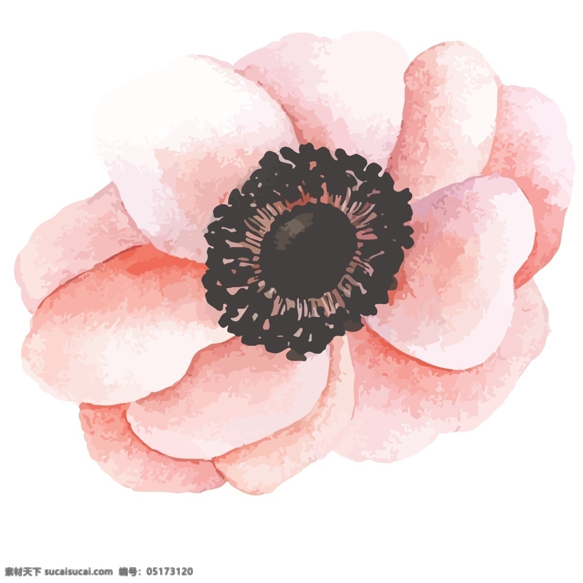 粉红色 花朵 免 抠 图 粉粉花朵 盛世花朵 绿色生态 花儿朵朵开 卡通插画 艺术插画 免抠图