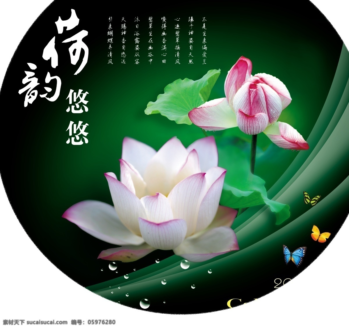 龙腾 广告 服饰 服装 荷花 荷韵悠悠 龙腾广告 平面广告 分层 源文件 衣服 psd源文件