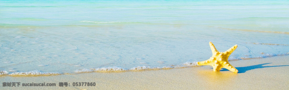 沙滩 海边 背景 图 banner 海 夏季 贝壳 青色 天蓝色