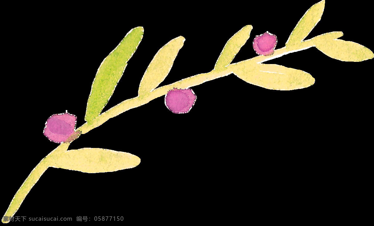 小 玫瑰 枝叶 卡通 透明 装饰 树叶 粉色 透明素材 免扣素材 装饰图案