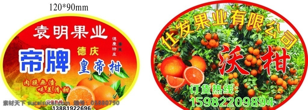 水果商标 沃柑 皇帝柑 标签 德庆 广东 果业公司 标志图标 企业 logo 标志