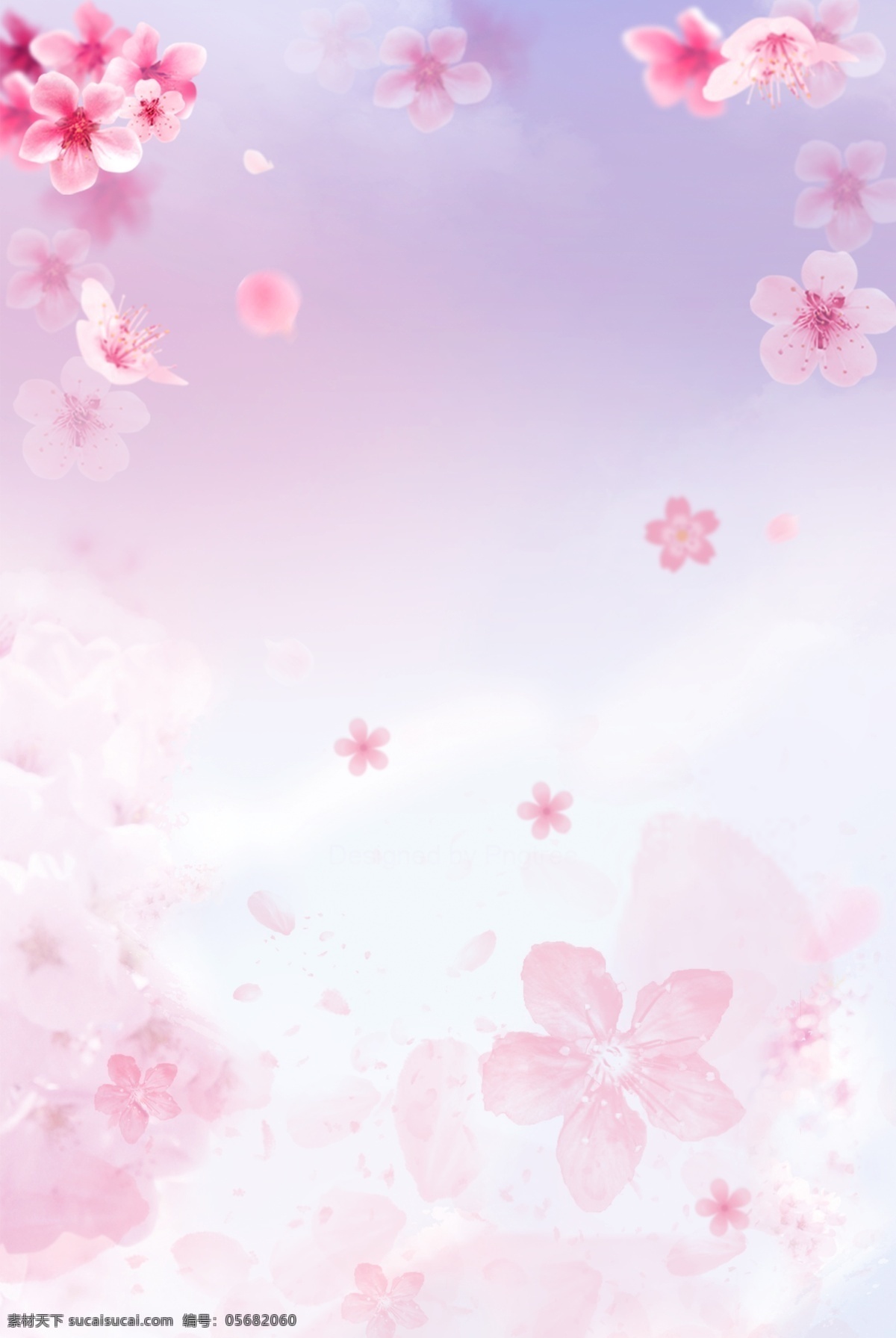 简约 樱花 季 合成 背景 樱花季 樱花节 唯美 粉色 花瓣 花朵 创意