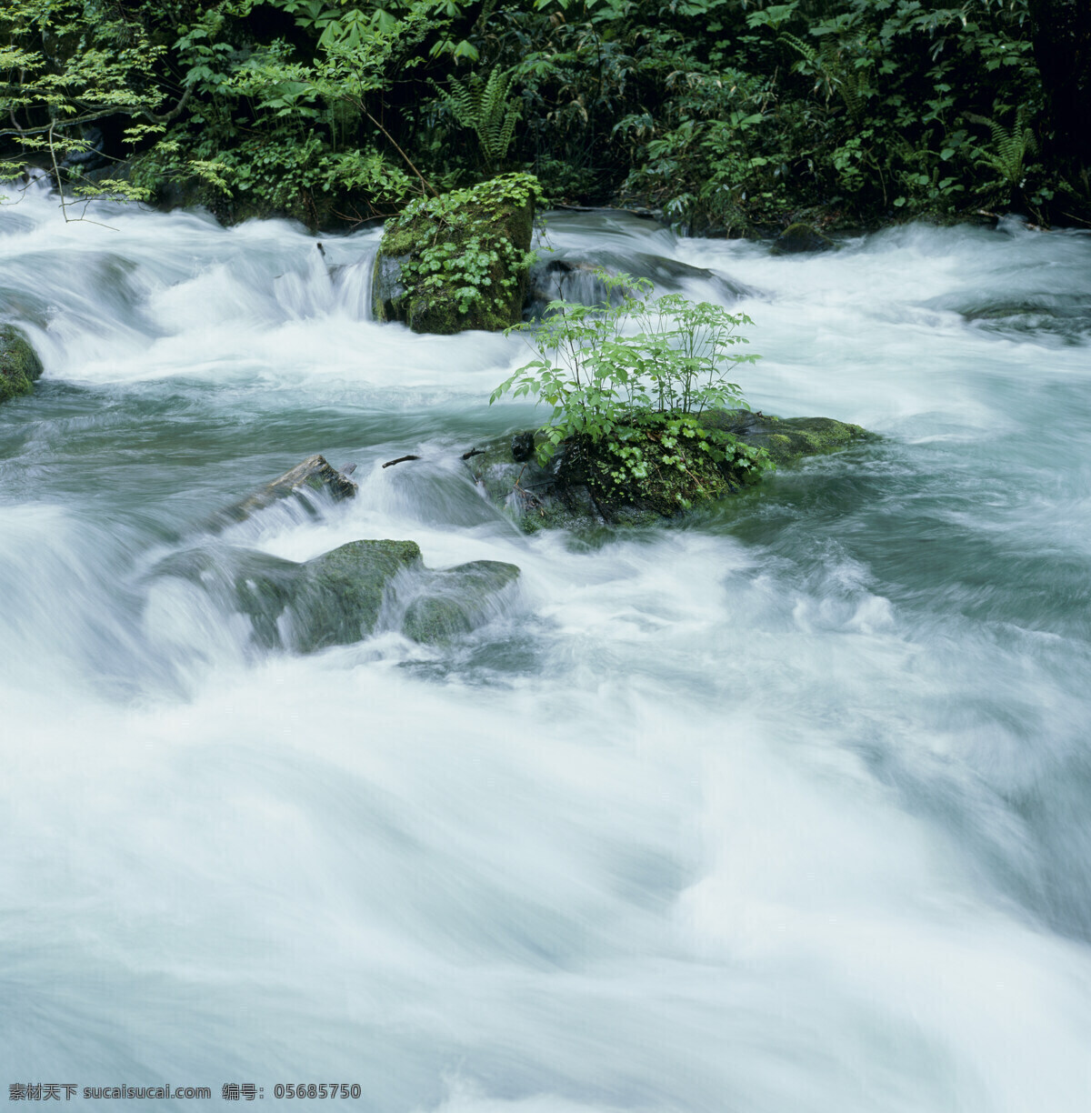 山中 湍急 溪流 写真图片 高山 瀑布 河山 风景 壮丽 山川 风光美图 美丽风景 自然风光 风景摄影 高清图片 山水风景 风景图片