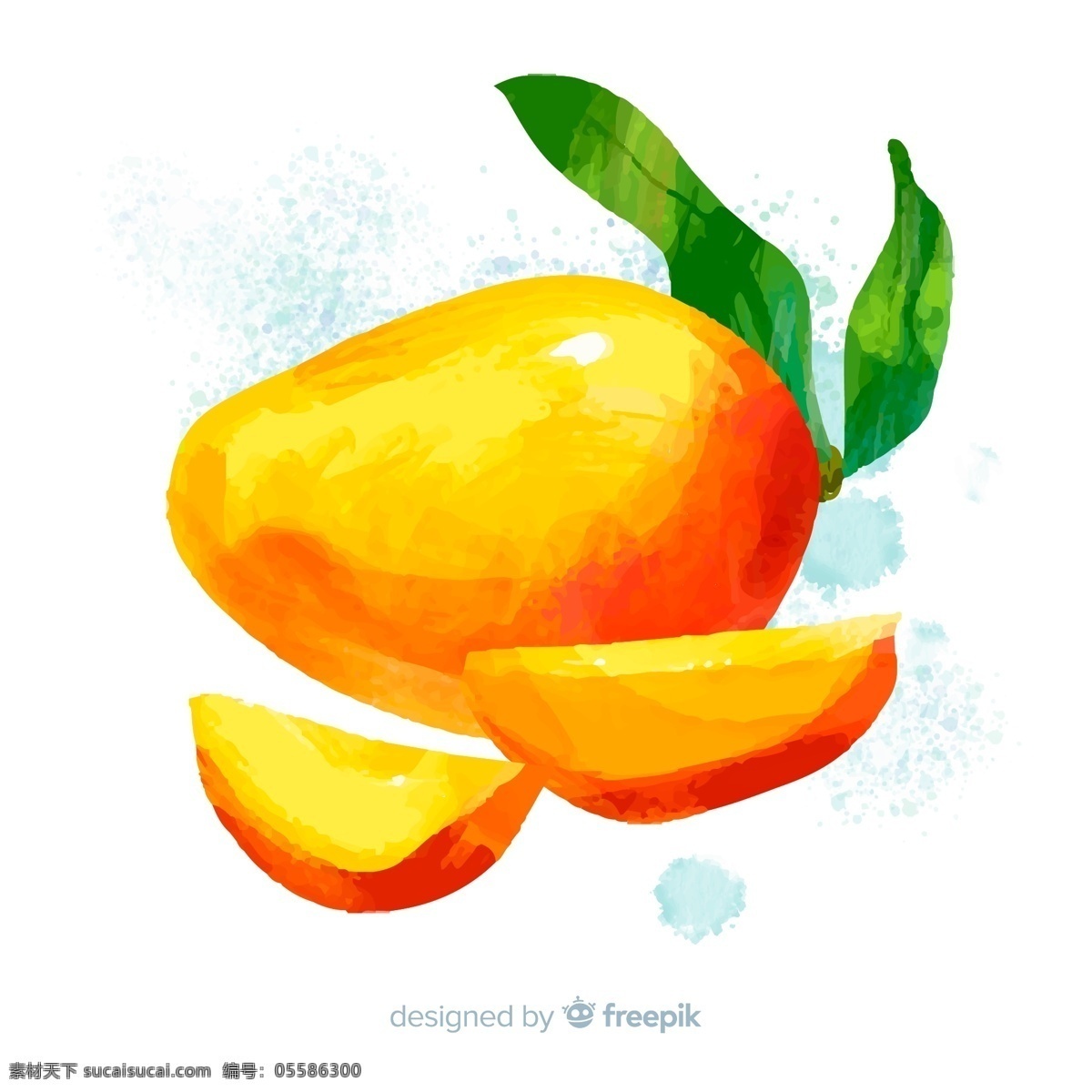 手绘 芒果 橘黄色 水果 水彩 绘画 美味 泰芒 热带水果 生物世界