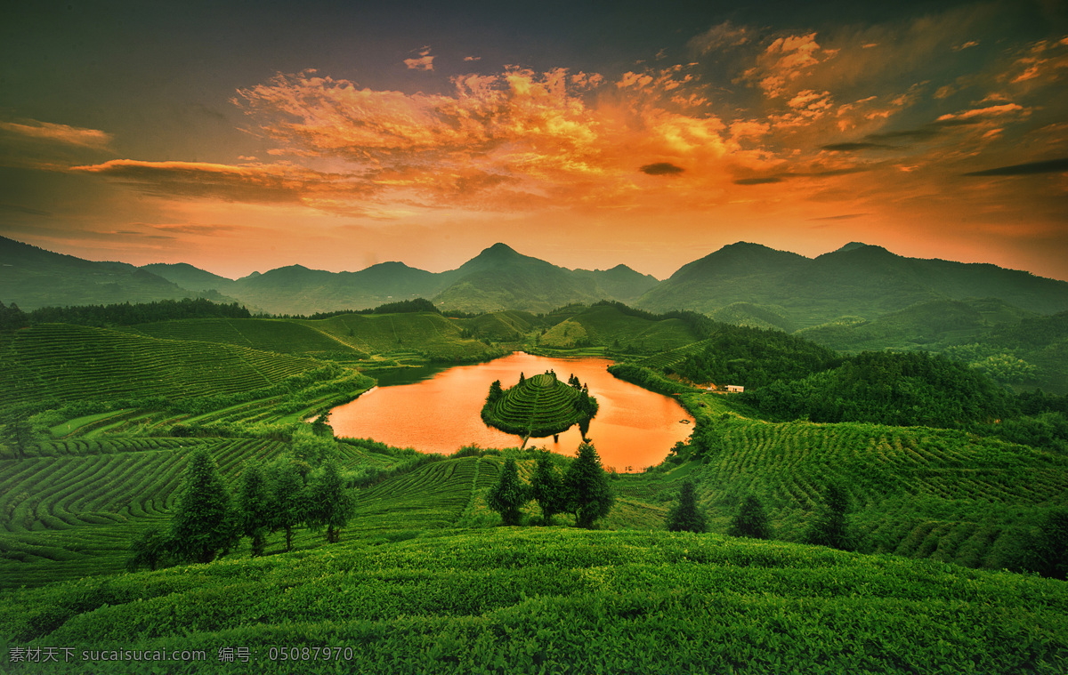 茶叶 茶山 茶 茶山风景 茶背景 自然景观 山水风景