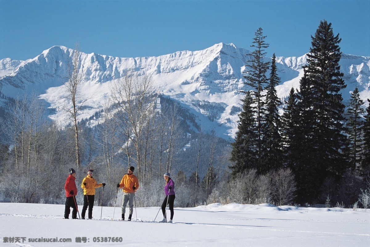 滑雪 运动员 冬天 雪地运动 划雪运动 极限运动 体育项目 运动图片 生活百科 雪山 美丽 雪景 风景 摄影图片 高清图片 滑雪图片