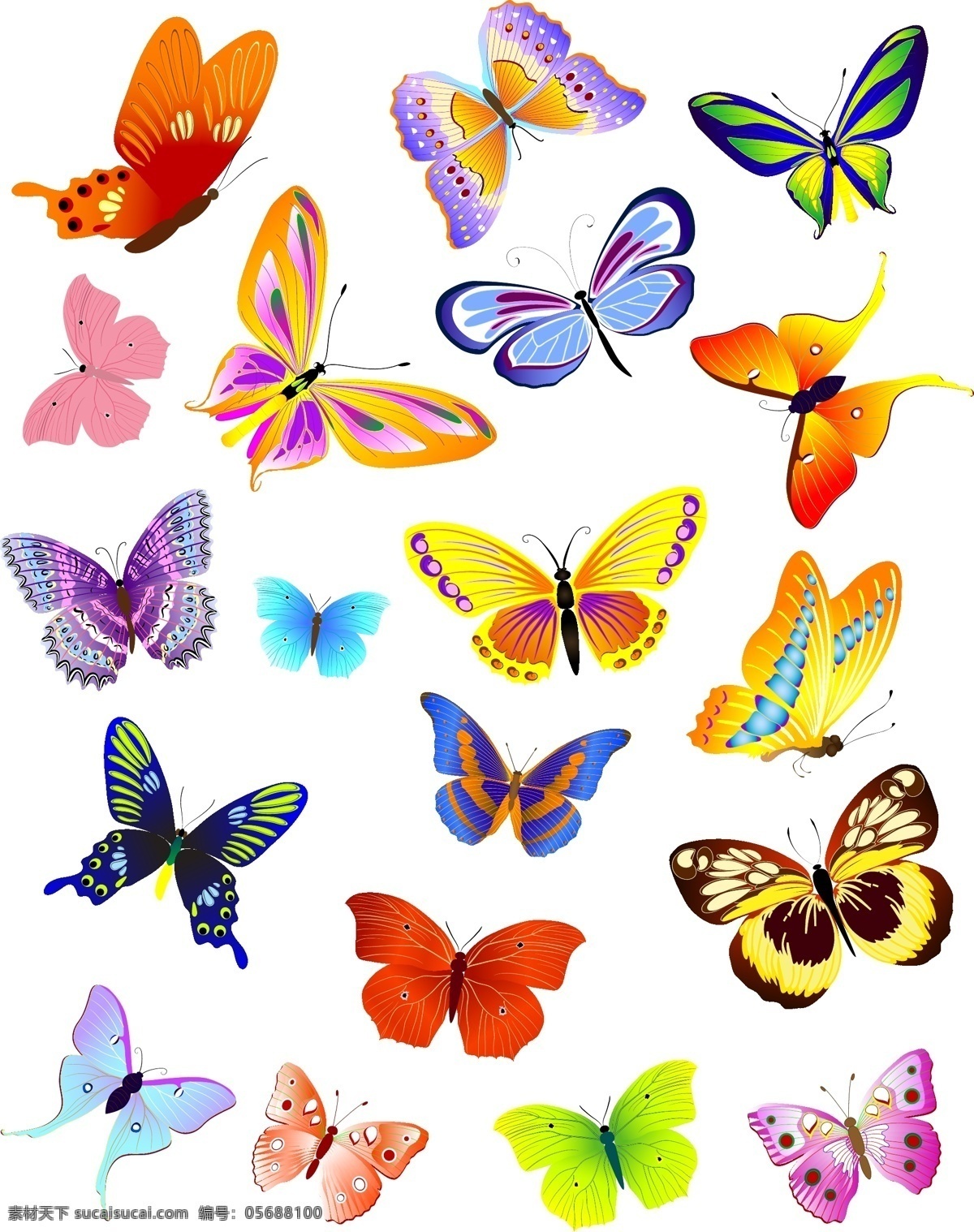 蝴蝶矢量素材 蝴蝶矢量 蝴蝶素材 蝴蝶 butterfly 共享设计矢量 生物世界 昆虫