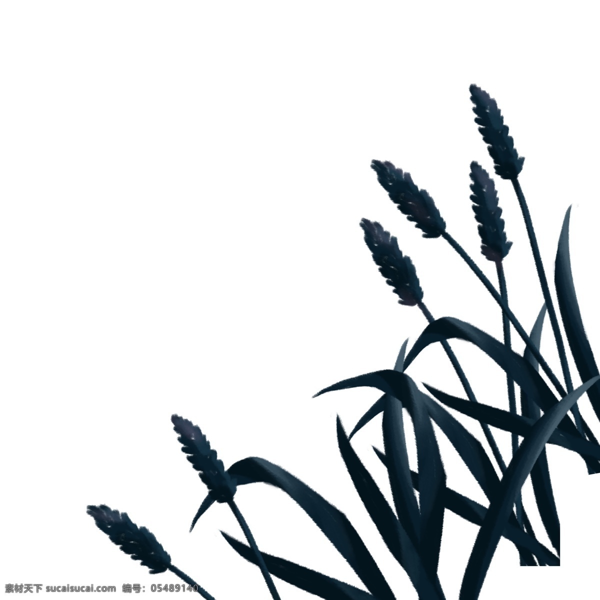 黑色 植 叶 免 抠 图 草地 黑色叶子 生态植物 卡通叶子 绿色枝叶 新鲜的植物 长长的枝叶 植物 枝叶 免抠图