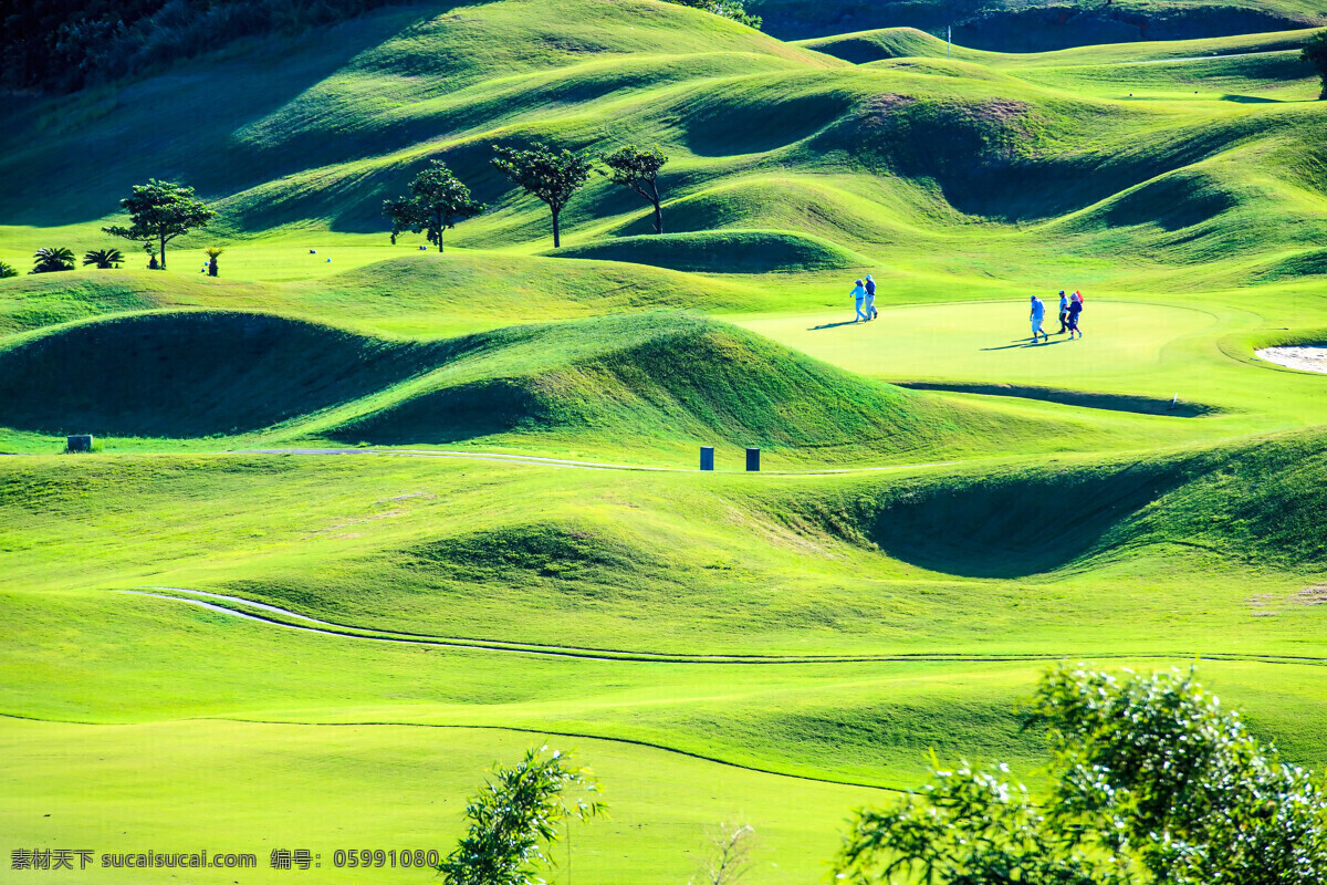 高尔夫球 俱乐部 草地 高尔夫球场 草坪 绿地 美丽风景 高尔夫俱乐部 自然风景 自然景观 绿色
