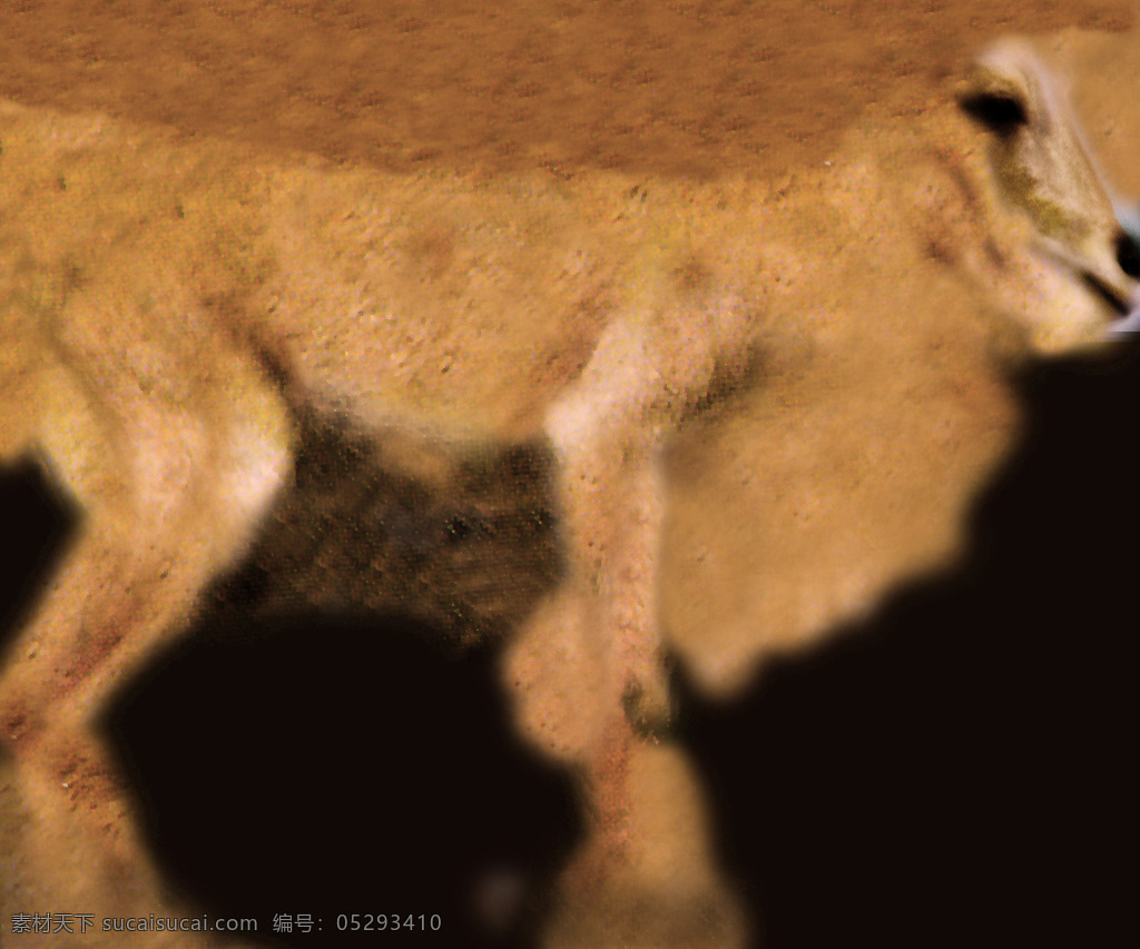 arrui 羊 模型 带 贴图 动物模型 陆生动物 3d模型素材 动植物模型