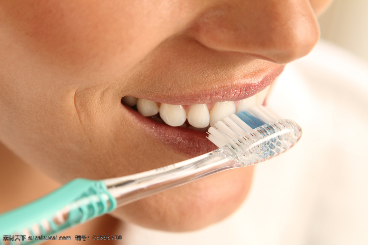 正在 刷牙 人 正在刷牙的人 牙齿模型 牙科 牙龈 牙科研究 医疗护理 现代科技