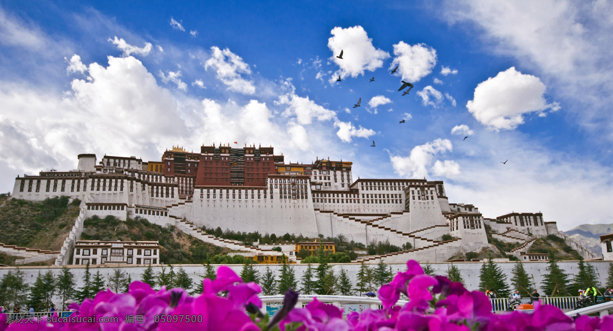 建筑景观 布达拉宫 布达拉宫美景 名胜古迹 布达拉宫日景 自然景观