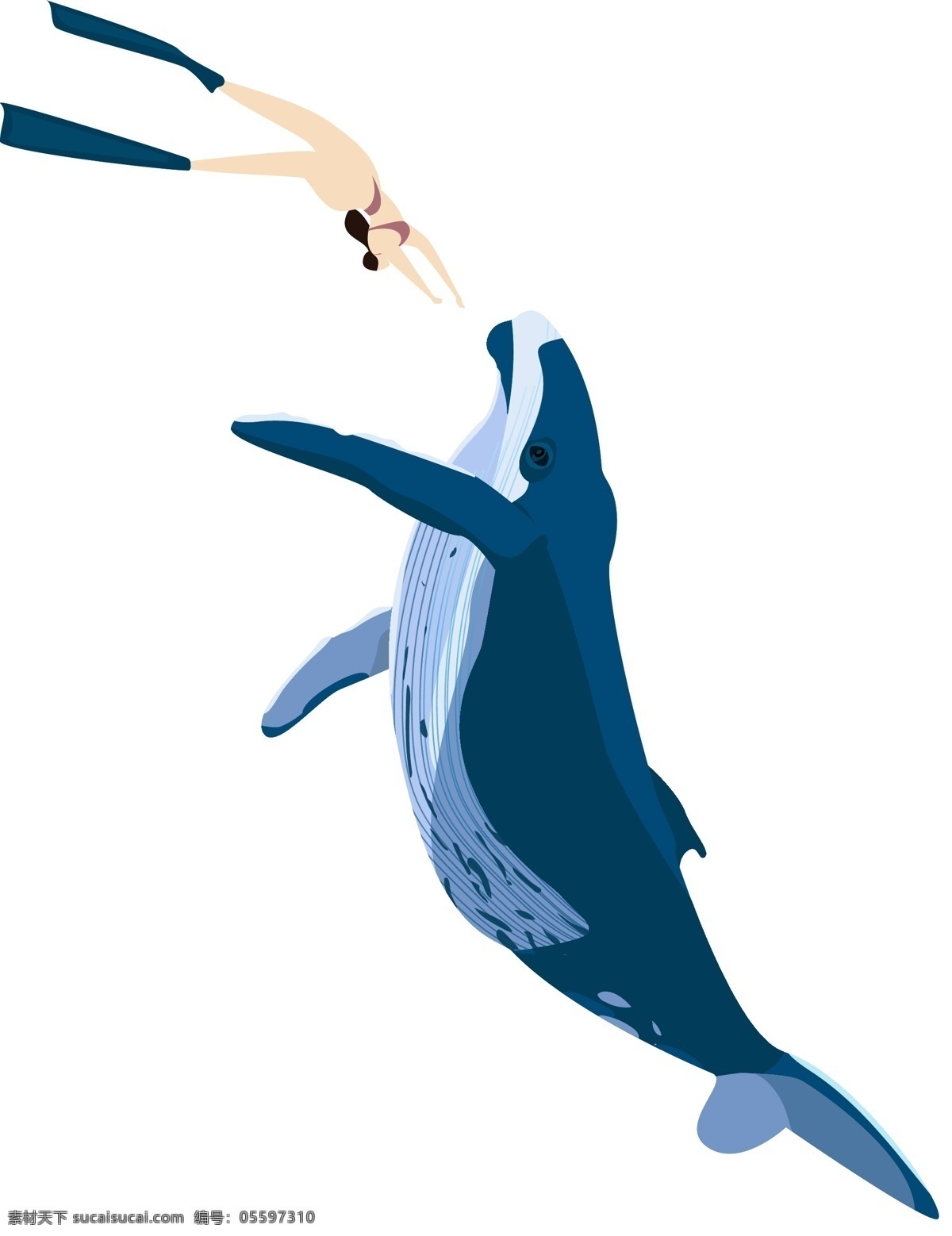 驯养 员 鲸鱼 水中 表演 手绘 卡通 蓝色鲸鱼 海洋生物 驯养员 水中表演