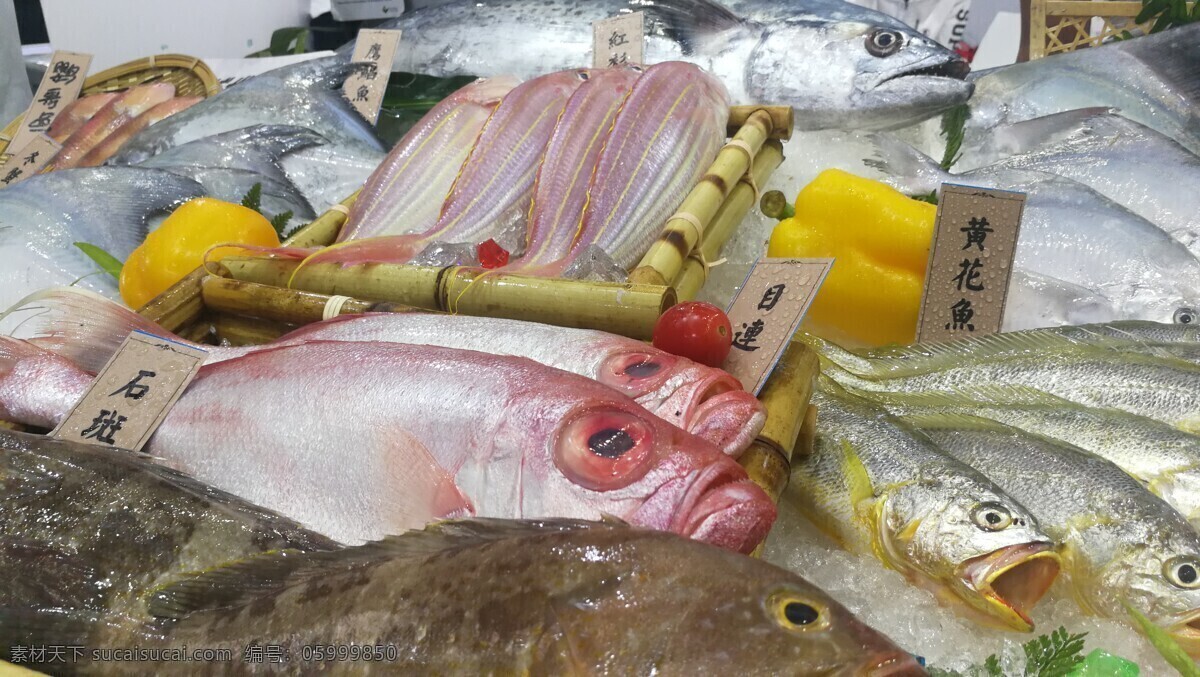 海鲜 食材 海鱼 鱼类 海虾 生鲜 美食 海蟹 帝王蟹 冰冻 冰冻海鲜 食品素材 餐饮美食 食物原料