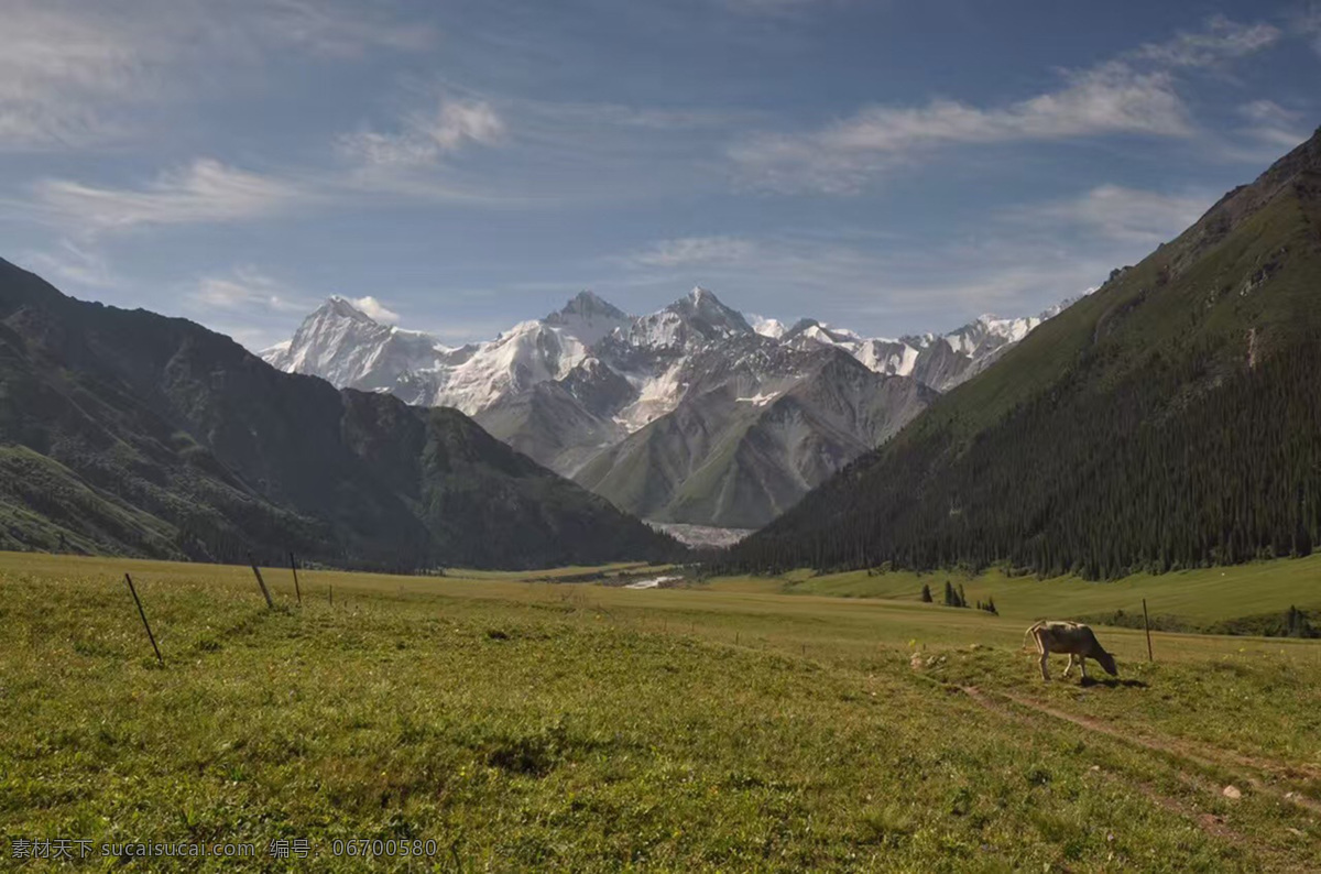 高原风景 新疆 西藏 高原 风景 大山 雪山 自然景观