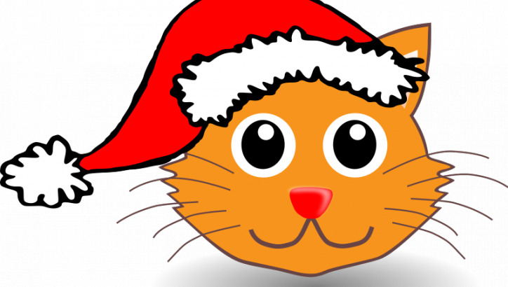 猫 vectopr 圣 塔克 劳斯 帽子 动物 圣诞节 圣诞老人 颜色 克劳斯 svg 矢量图 生物世界