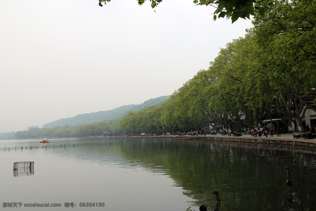 西湖山水 杭州西湖 春天 山水 风景 杭州 自然景观 风景名胜 花草树木 生物世界 树木树叶